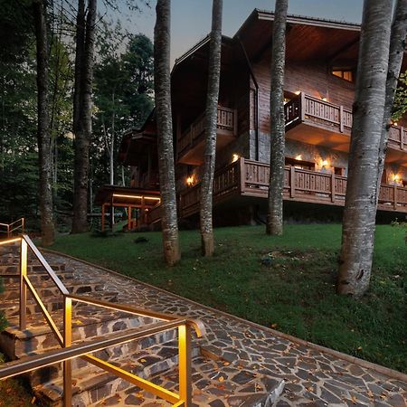 Chalet Royal Sinaia Exteriör bild